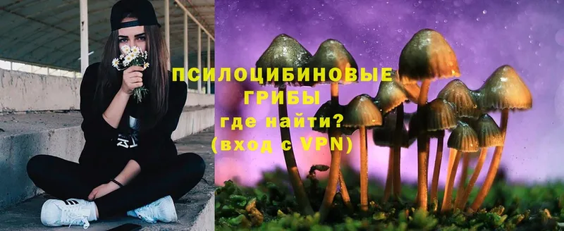 Галлюциногенные грибы MAGIC MUSHROOMS  Красный Сулин 